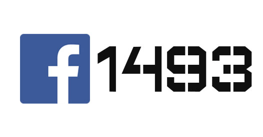 1493, 1494, 1495, 1496, 1497